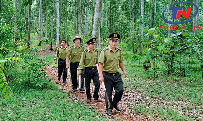 Đồng phục bảo vệ rừng chuyên trách