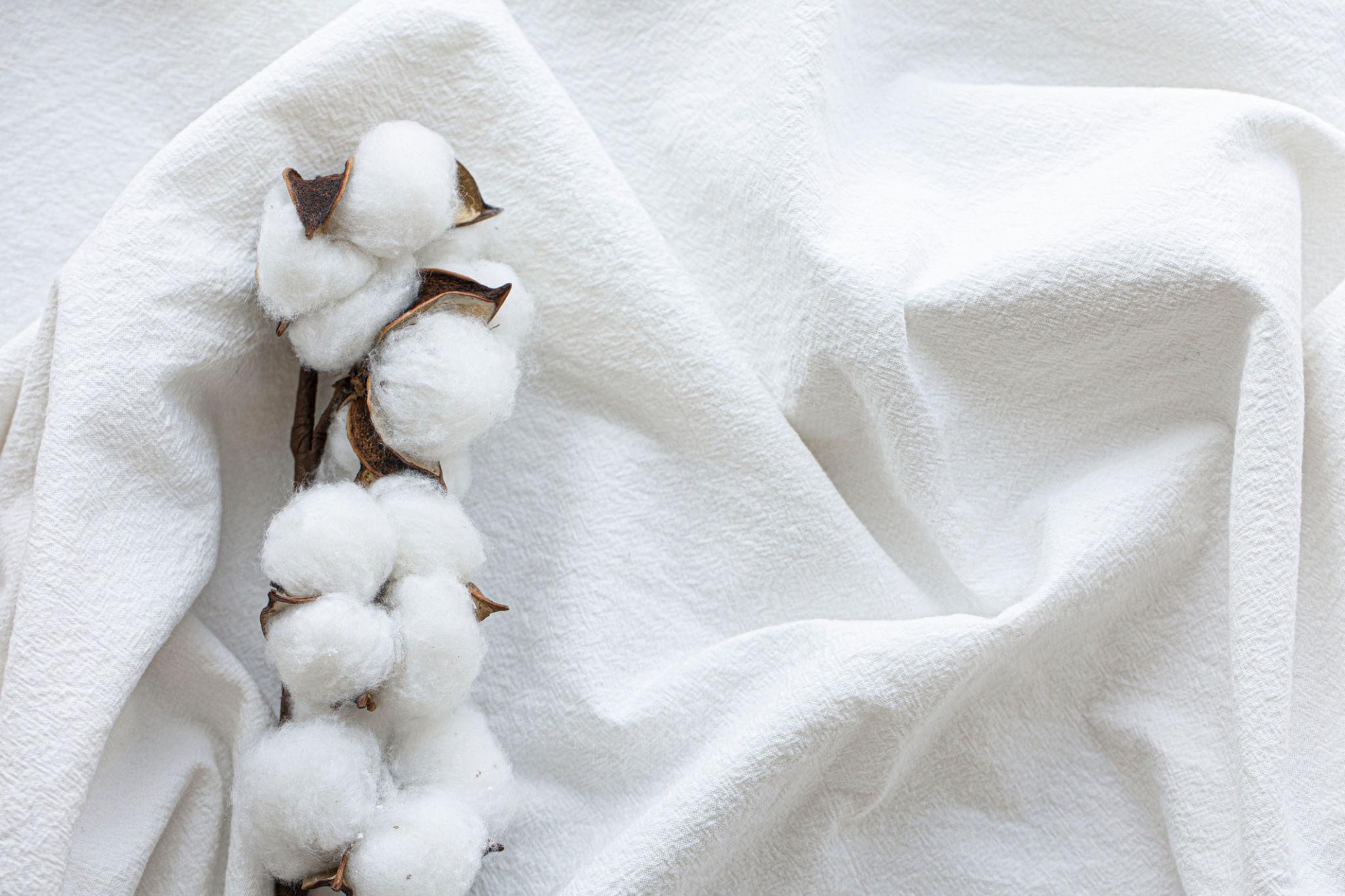 Vải Cotton Là Gì 3